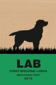 Casa Santos Lima - Lab White 0