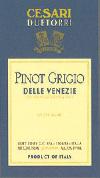 Due Torri - Pinot Grigio Friuli 0 (1.5L)